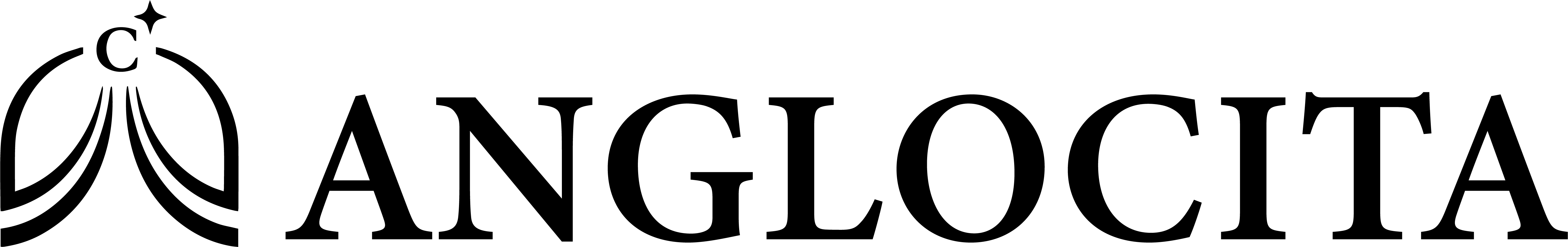 Anglocita
